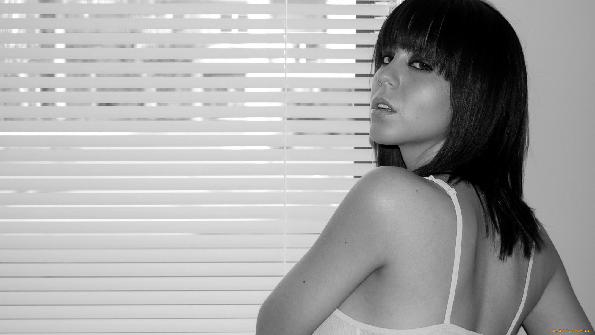 , bryci lea, bryci, lea